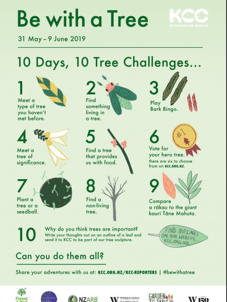 Be with a Tree - 10 days, 10 challenges