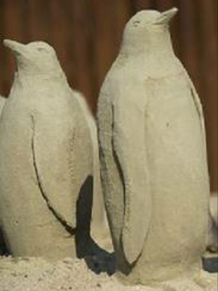 Penguin sandcastles