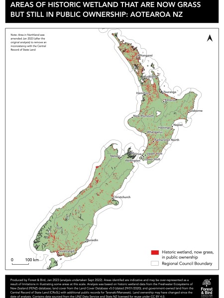 Historic Wetland mow Pasture in Public Ownership in Aotearoa NZ. Credit Forest & Bird