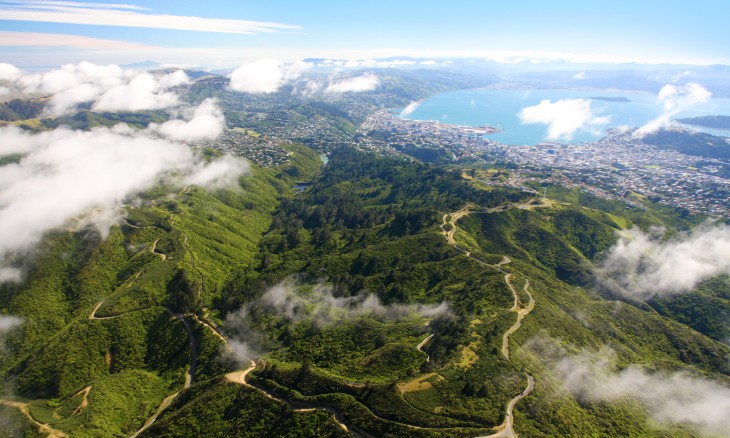 A bird’s eye view of Zealandia with Wellington in the background. Credit Rob Suisted