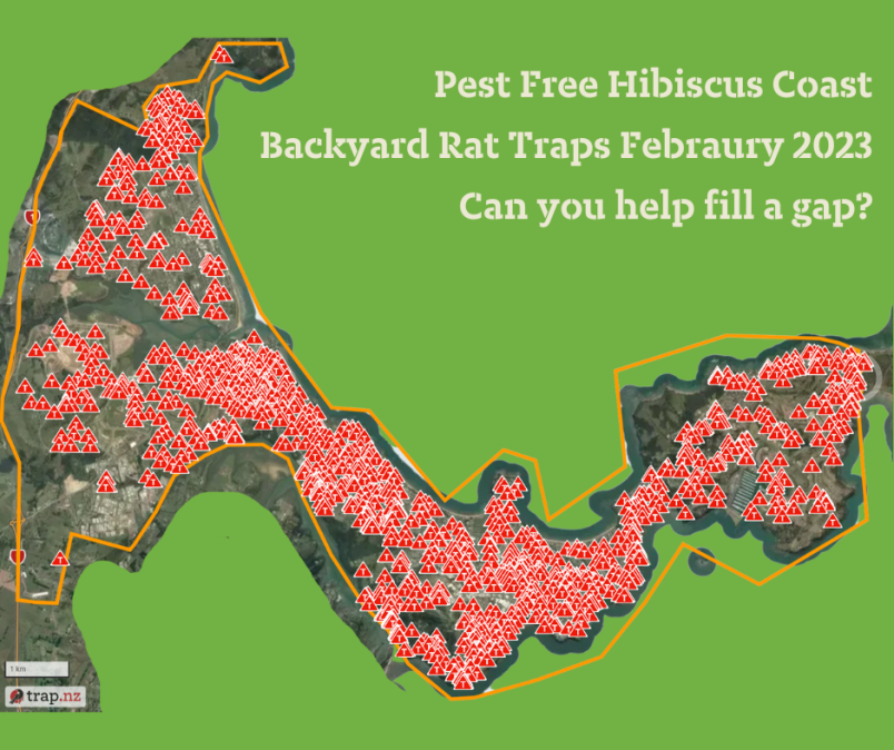 Map of backyard rat traps - PHFC Feb 2023