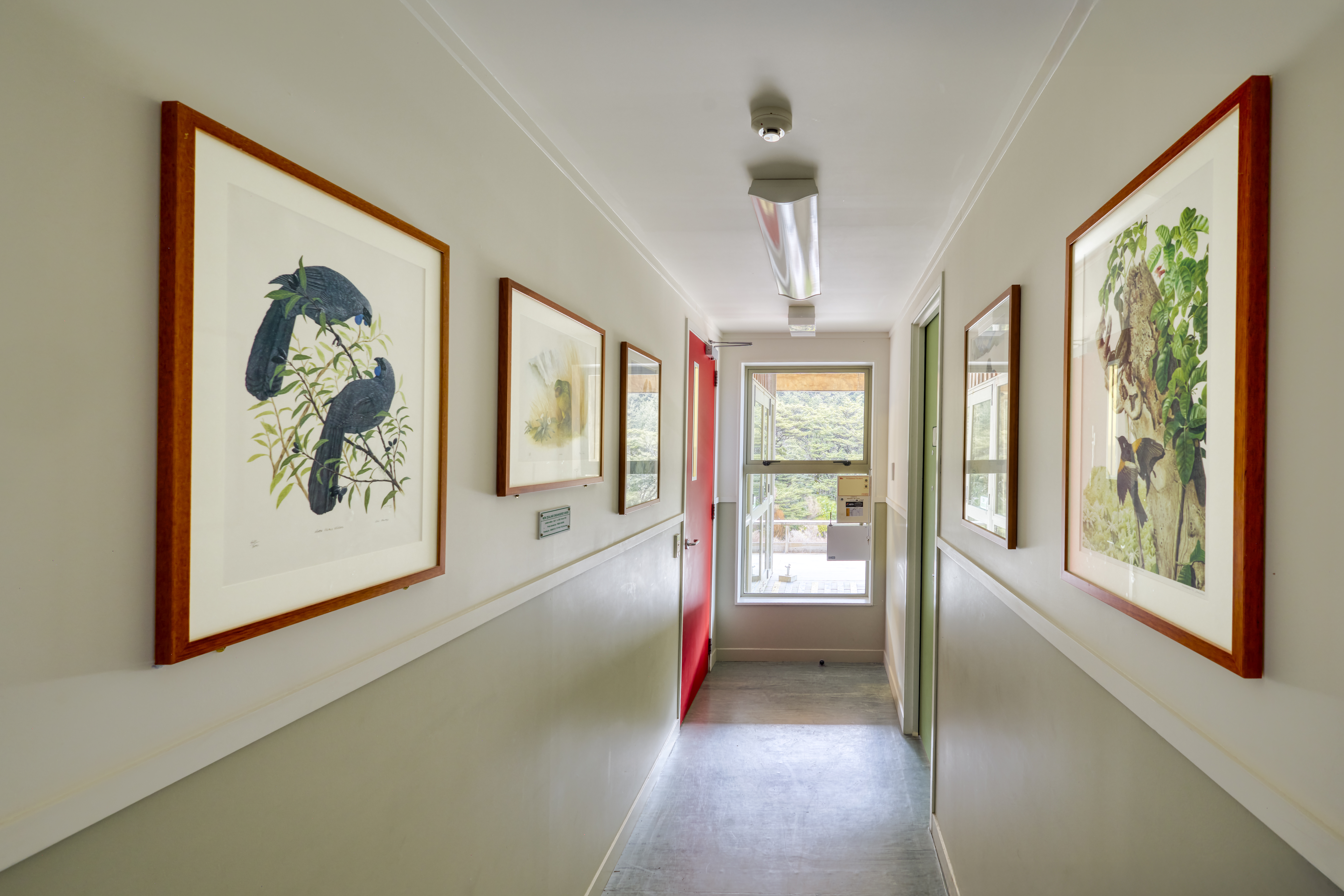 Ruapehu interior 2025_8