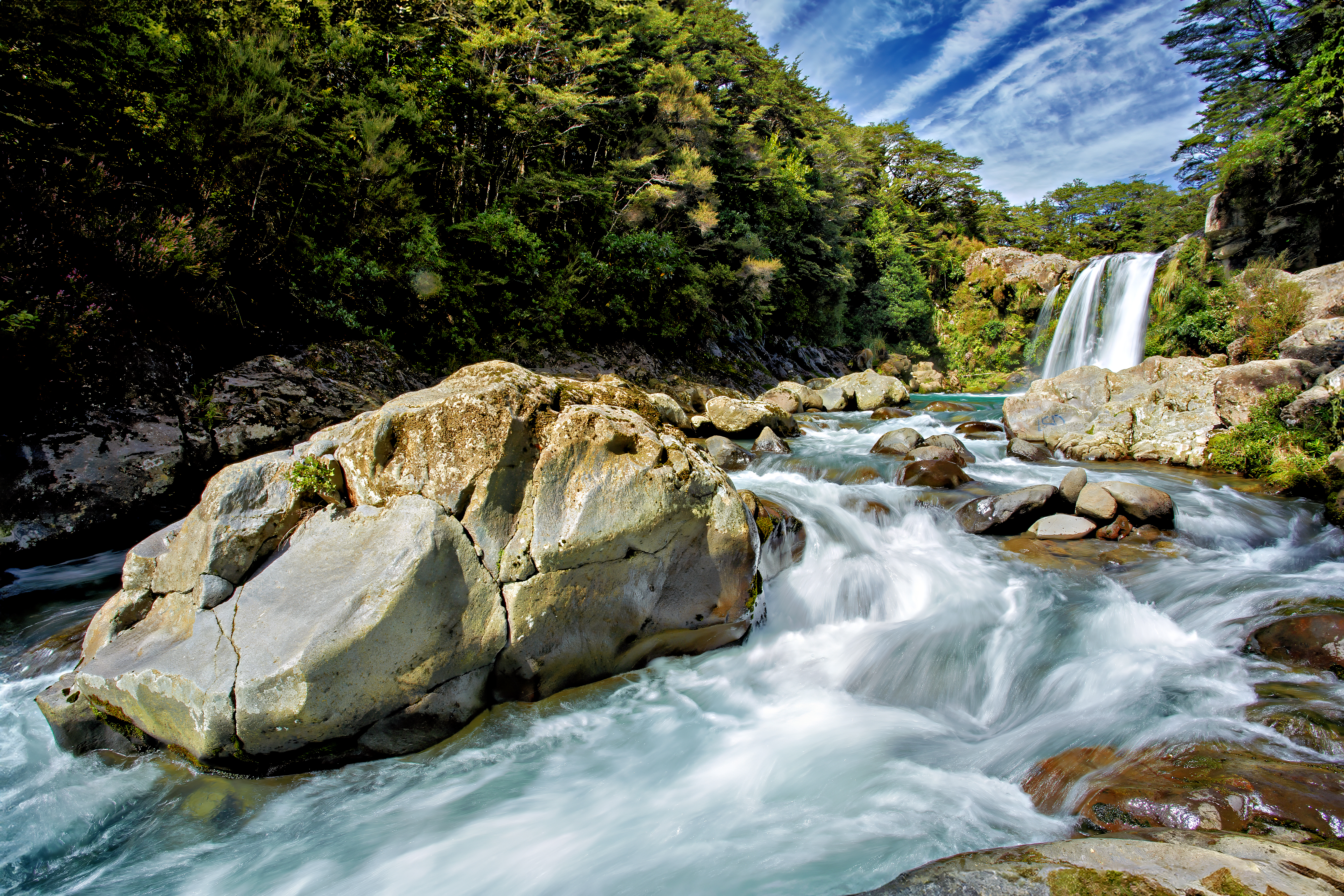 Ruapehu landscape and critters 2025_9