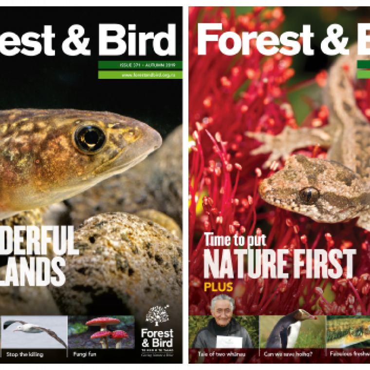 F&B magazine teaser autumn summer 2019