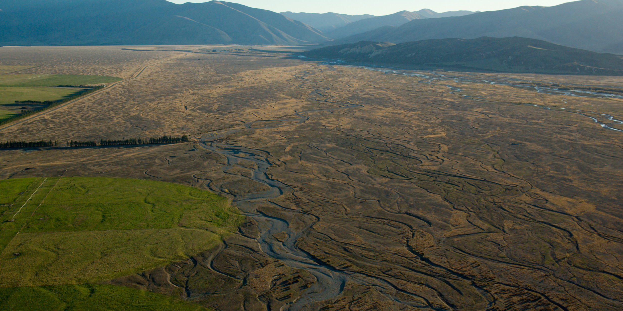 Ground Zero For The Mackenzie Basin Forest And Bird