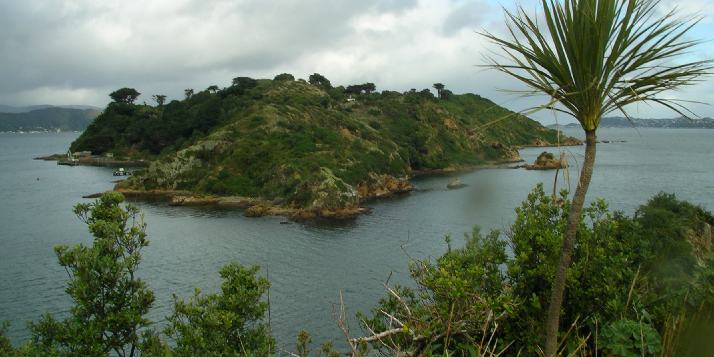 Matiu/Somes Island Lodge, Wellington | Forest and Bird