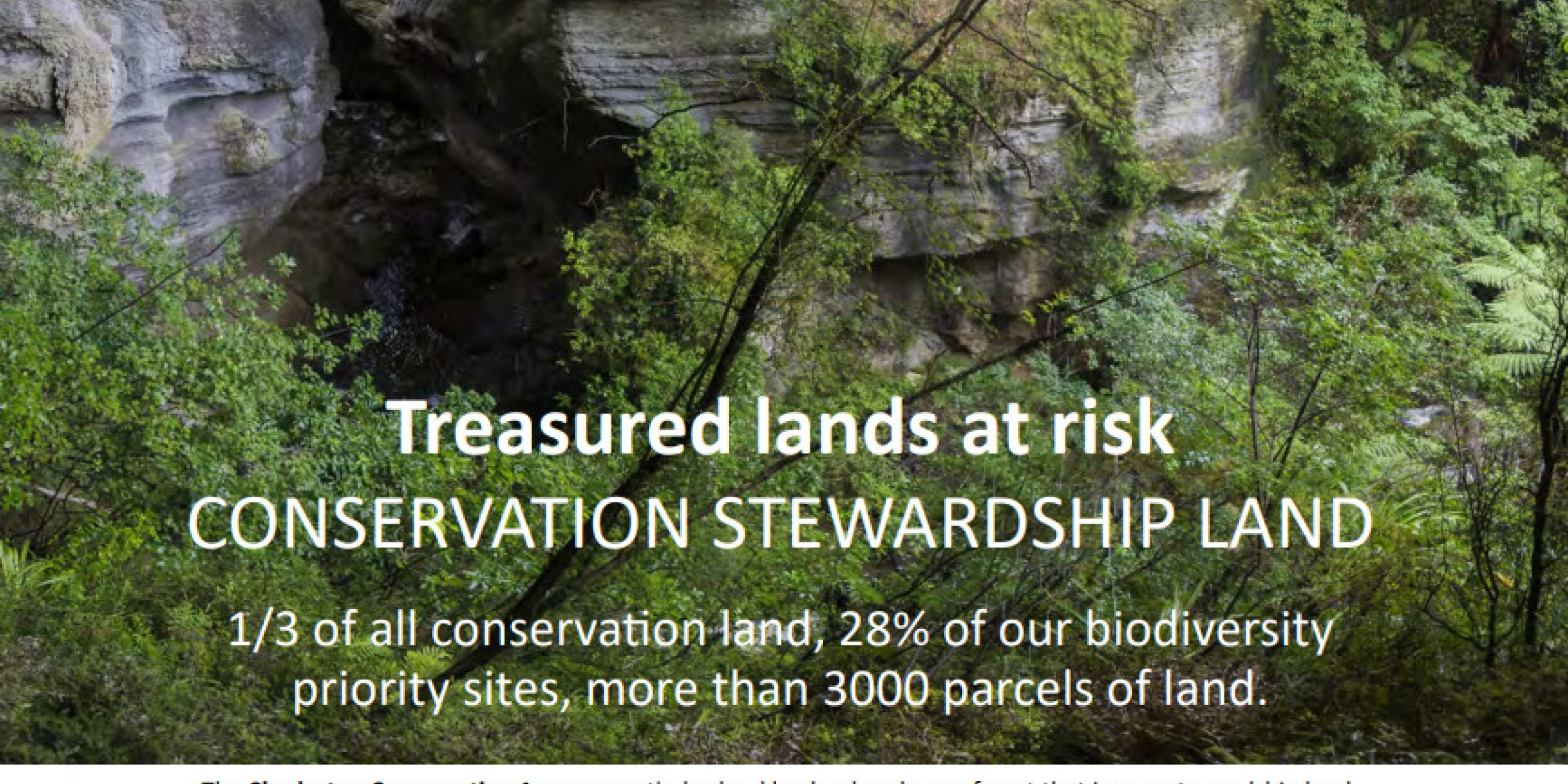 Stewardship land explainer Forest and Bird