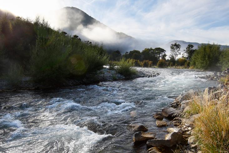 River landscape