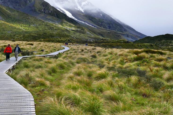 Valley landscape with two people walking on a boardwalk through tussock grass