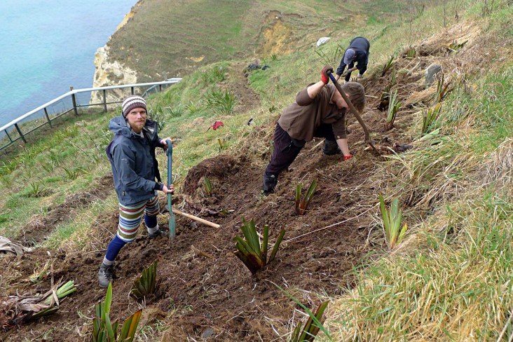 Volunteers at the prion fence
