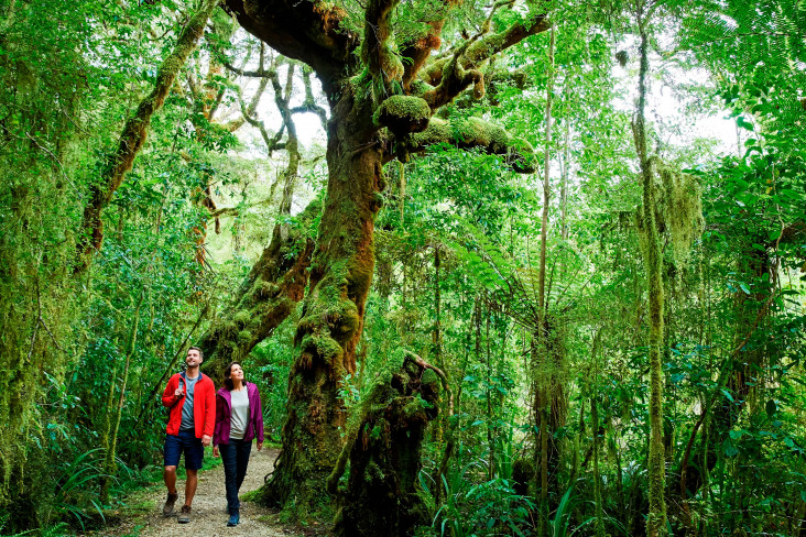 Trampers walking through the Oparara arches on the West Coast