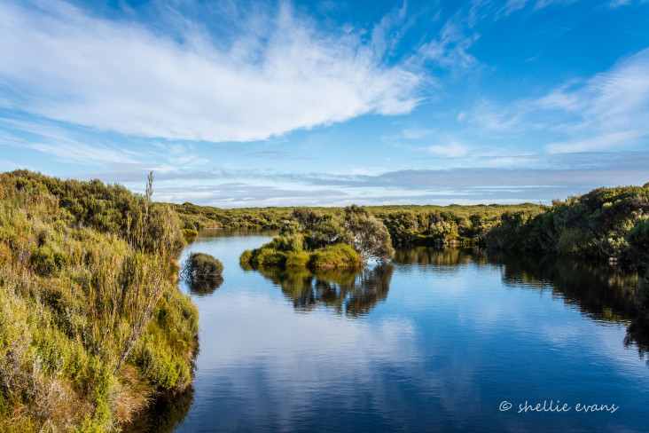 Waituna Lagoon, Southland Awarua-Waituna Wetlands