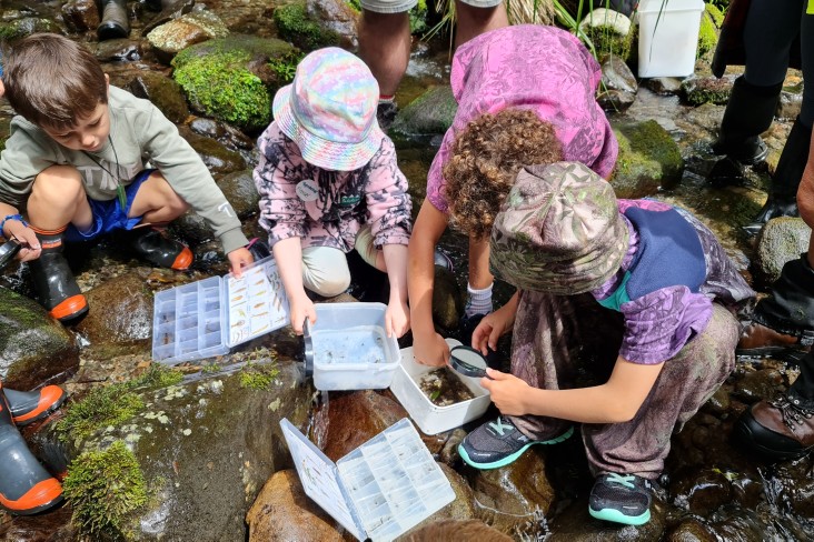 Children testing health of freshwater