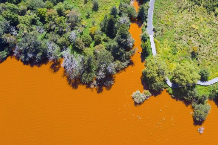 Lake Waikare, in the North Island region of Waikato, the dairy powerhouse of New Zealand, is one of the most polluted lakes in the country. Credit Iain McGregor/Stuff Limited
