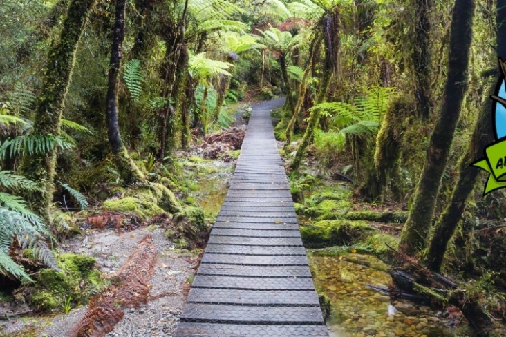 Summer Adventure Challenge 2025 page banner