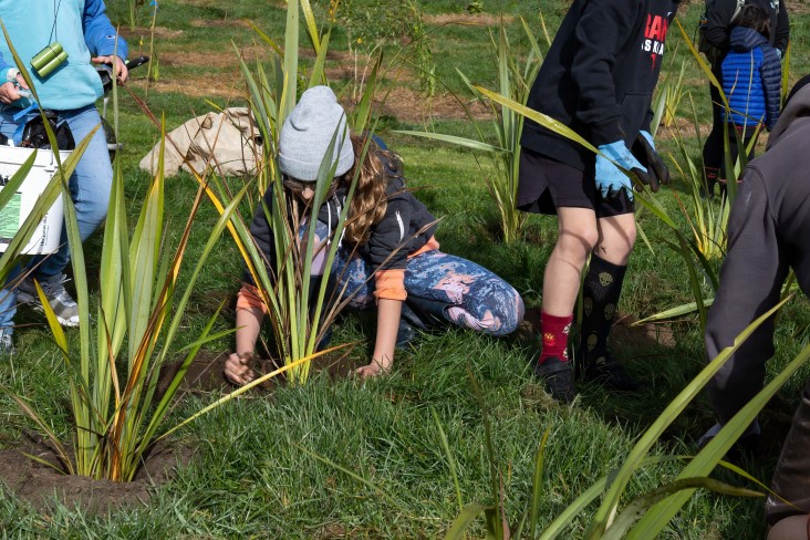Bushy Park Tarapuruhi, Matariki 2024 planting day. Credit Claire Smart (narrow banner)