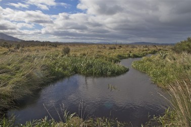 Sinclair Wetland