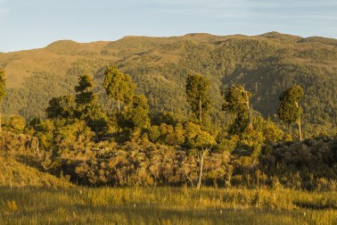 Te Kuha mine site