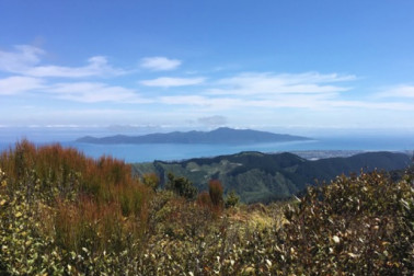 Kapiti Island in the distance