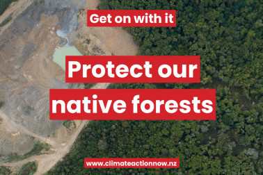 native forest half-cleared for mine, text: protect native forests