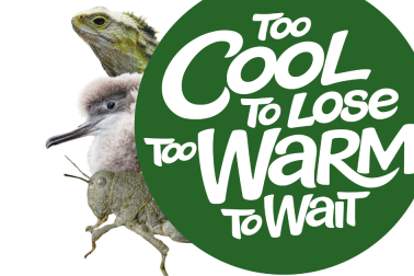 Too cool to lose logo 5