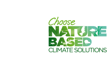 Choose NBS in circle