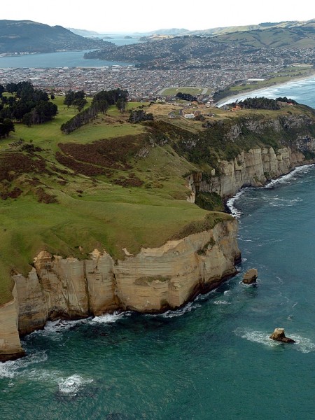 Dunedin From St. Claire Cliffs