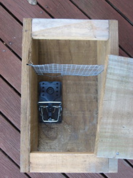SNAP-E Rat trap