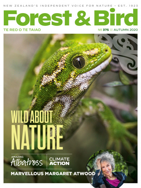 Forest & Bird Autumn 2020 magazine cover featuring a jewelled gecko