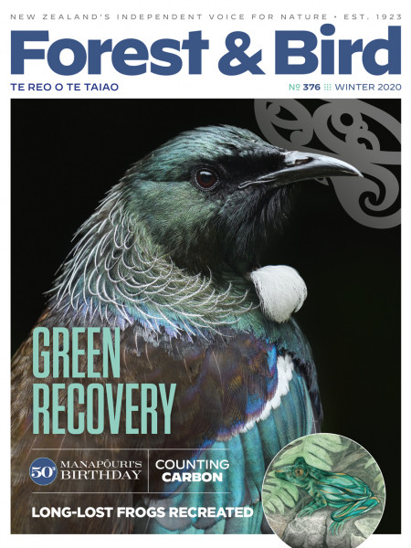 Forest & Bird magazine Winter 2020 cover with a close up of a tūī