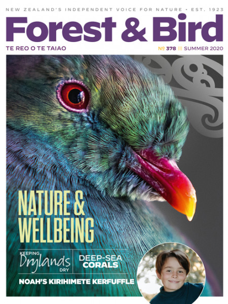 Forest & Bird Summer 2020 magazine cover with a close up of a kererū