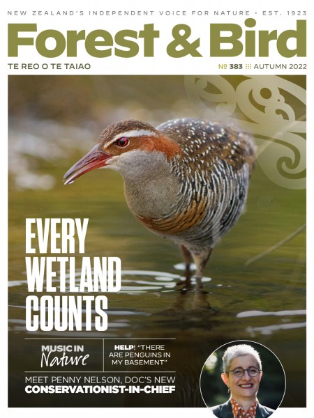F&B magazine Autumn 2022 cover featuring a banded rail wading in still water