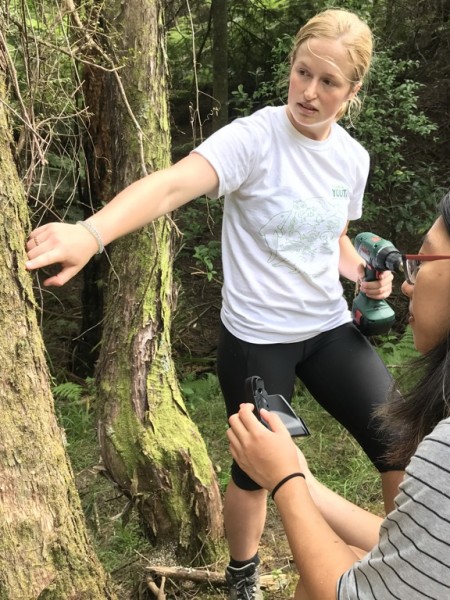 Kaya Freeman with another youth member setting up traps at Hosking Reserve, Tāmaki Makaurau Auckland