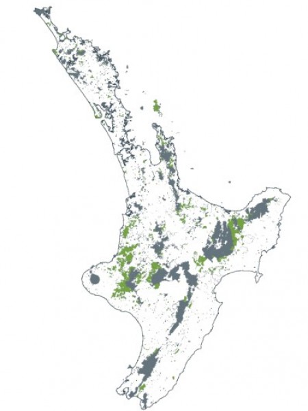 Stewardship land North Island