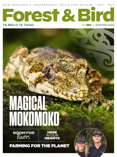 F&B Magaziner winter 2022 cover with a green mokomoko lizard
