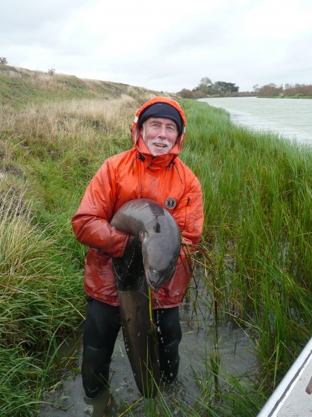 Dr Don Jellyman with longfin eel, Selwyn River, Canterbury. Credit NIWA