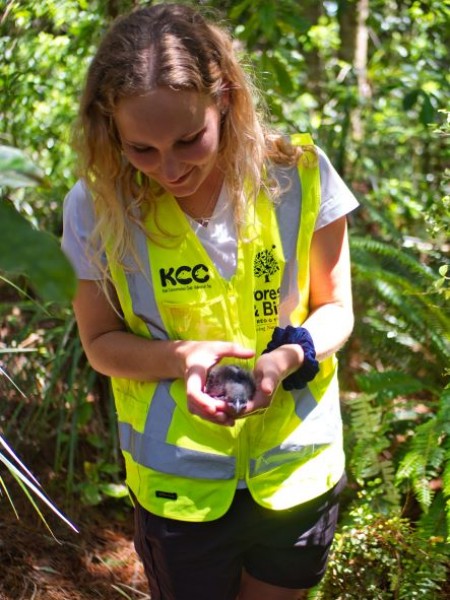 Harriet Jones, a prior Ark in the Park volunteer coordinator, with a kōkako chick in 2020. Image Forest & Bird