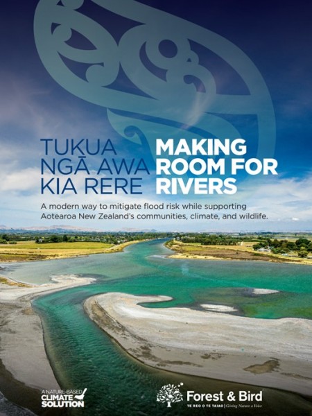 Cover image of the Tukua Ngā Awa Kia Rere – Making Room for Rivers report