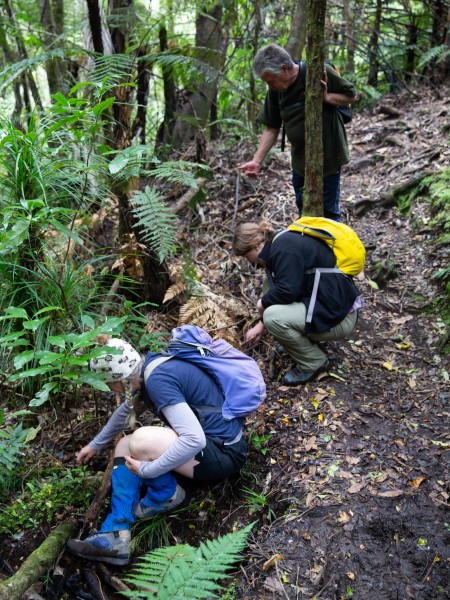 Clive Duxfield, Ellen Rykers, and Suzanne Clegg search for frogs near the Wharekirauponga Track, Coromandel Forest Park. Image supplied