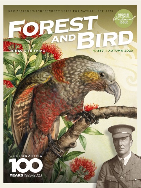 Forest & Bird magazine Autumn 2023 cover 
