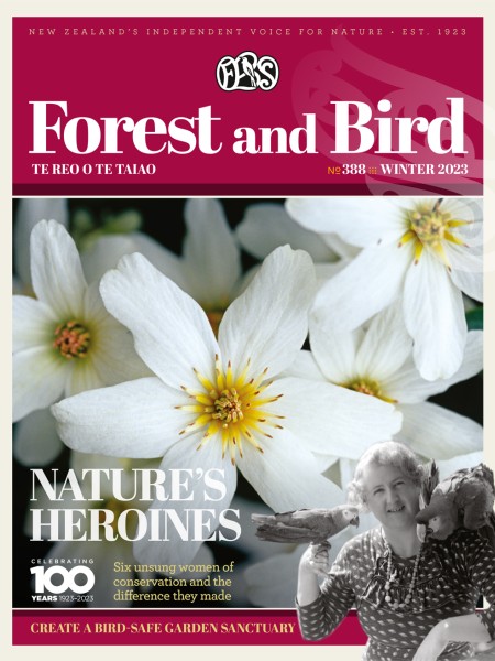 Winter 2023 Forest & Bird Magazine
