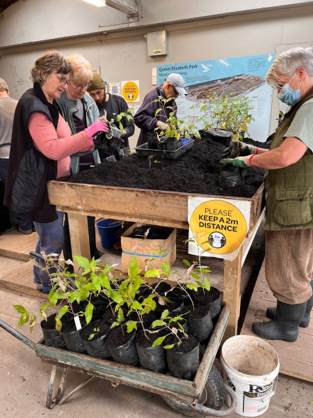 Potting up in the Queen Elizabeth Park nursery. Image Jill Visser