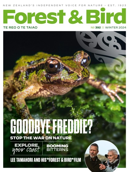 Forest & Bird magazine winter 2024 cover page
