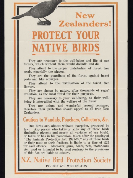 This poster, first published in 1923, was reprinted several times in different colours. Credit Alexander Turnbull Library 84-180-62