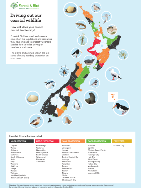 Turning the tide. Vehicles on beaches infographic