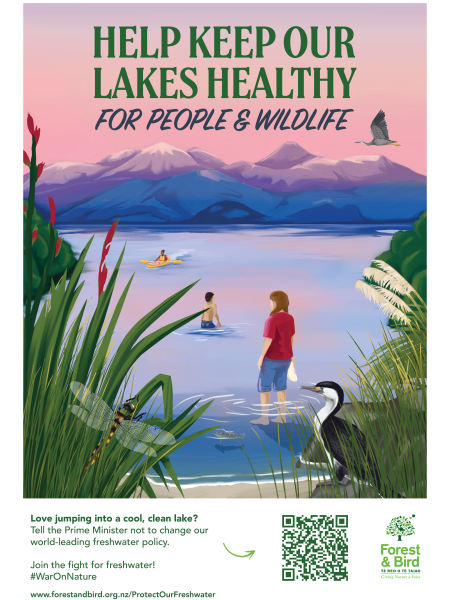 Help keep our lakes healthy for people and wildlife