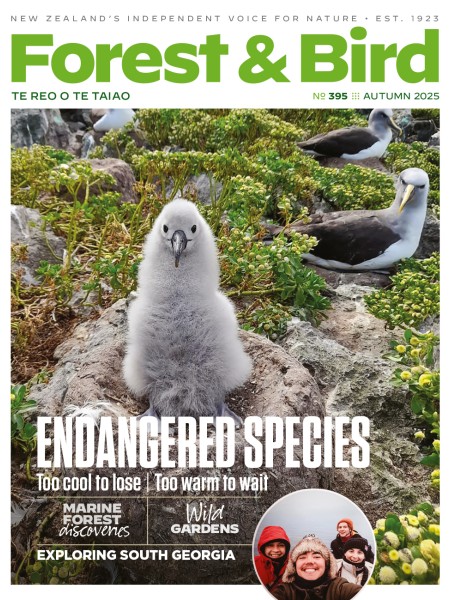 Autumn 2025 Forest & Bird Magazine cover