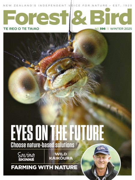 Forest & Bird Winter magazine cover, issue 396