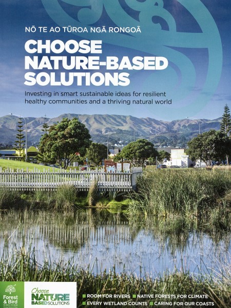 Choose nature-based solutions resource cover (2025)