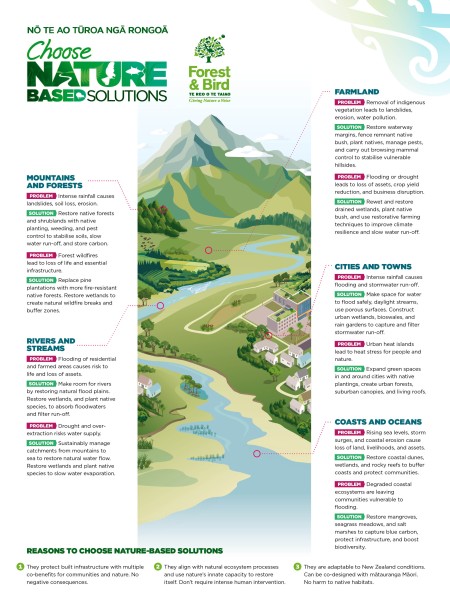 Choose Nature-based solutions_infographic